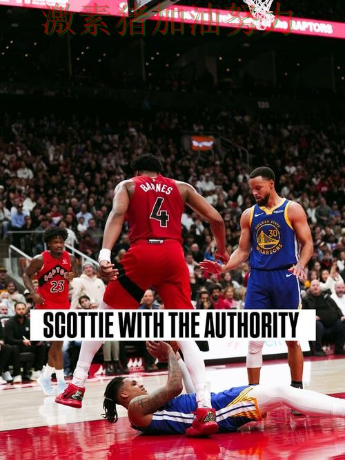 猛龙关键进球掀起争论 猛龙关键进球掀起争论