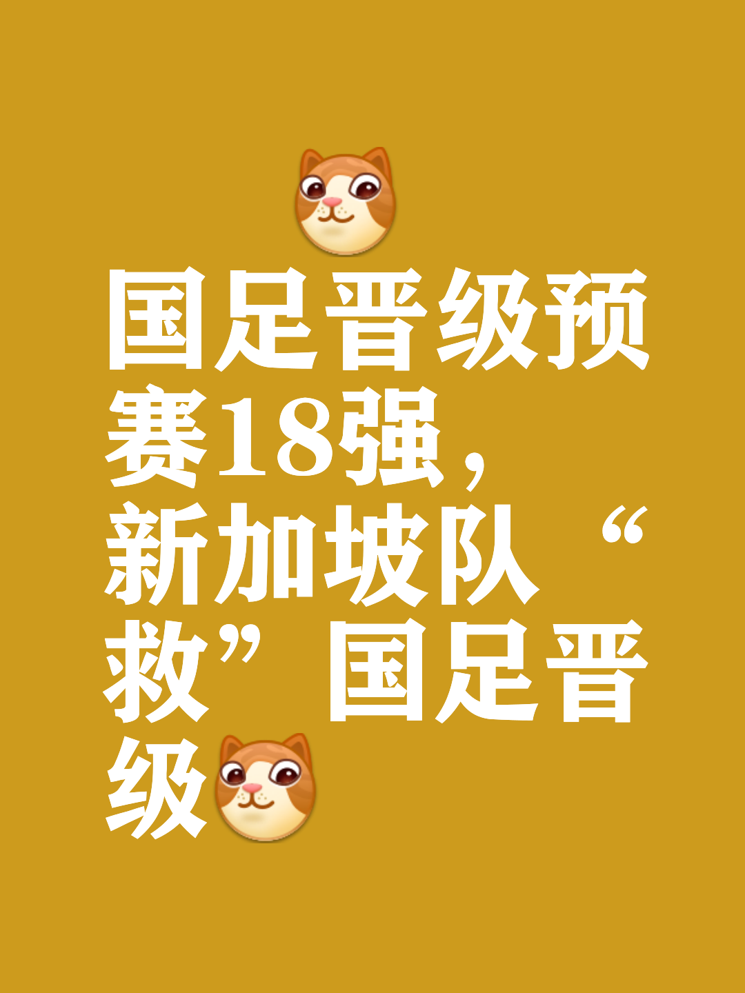 中国队成功晋级，为下一轮赛事锁定位置的简单介绍